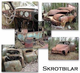 Bilkyrkog�rden i Ryd - klicka !