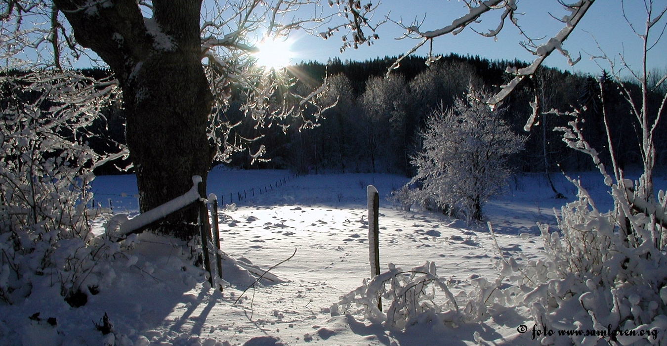 Bilder