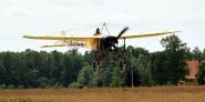 Bleriot XI - klicka f�r st�rre format